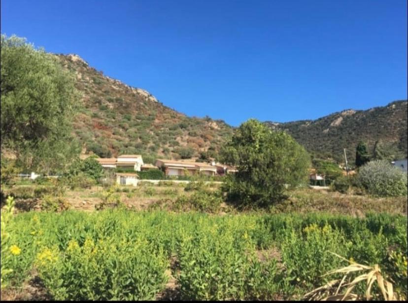 Au Petit Bonheur Vue Mer, Parking, 400M Plage Le Lavandou Exteriér fotografie